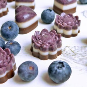 cacao-coconut-blueberry-chocolates_4