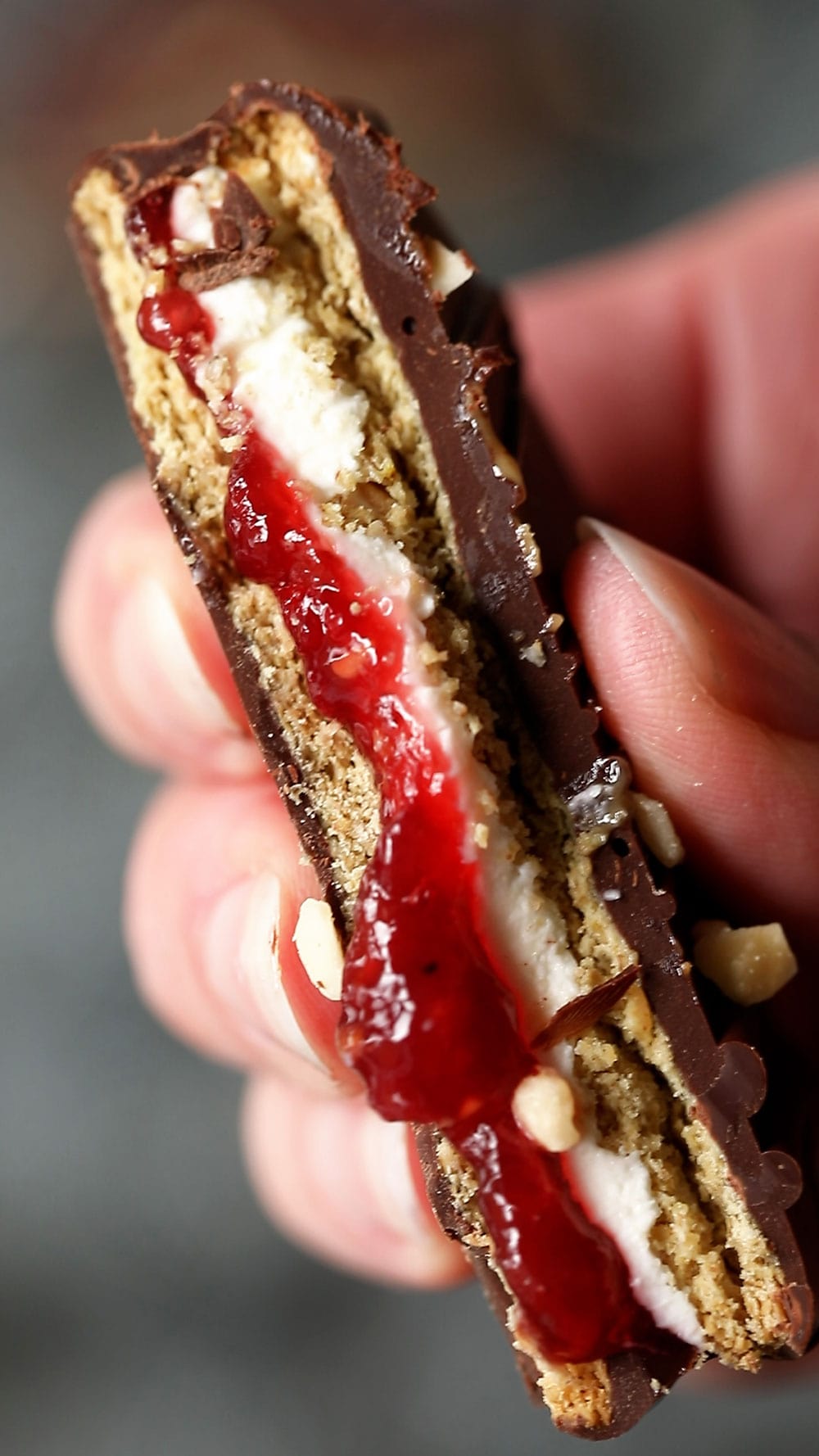 Healthy No-Bake Cheesecake Bites