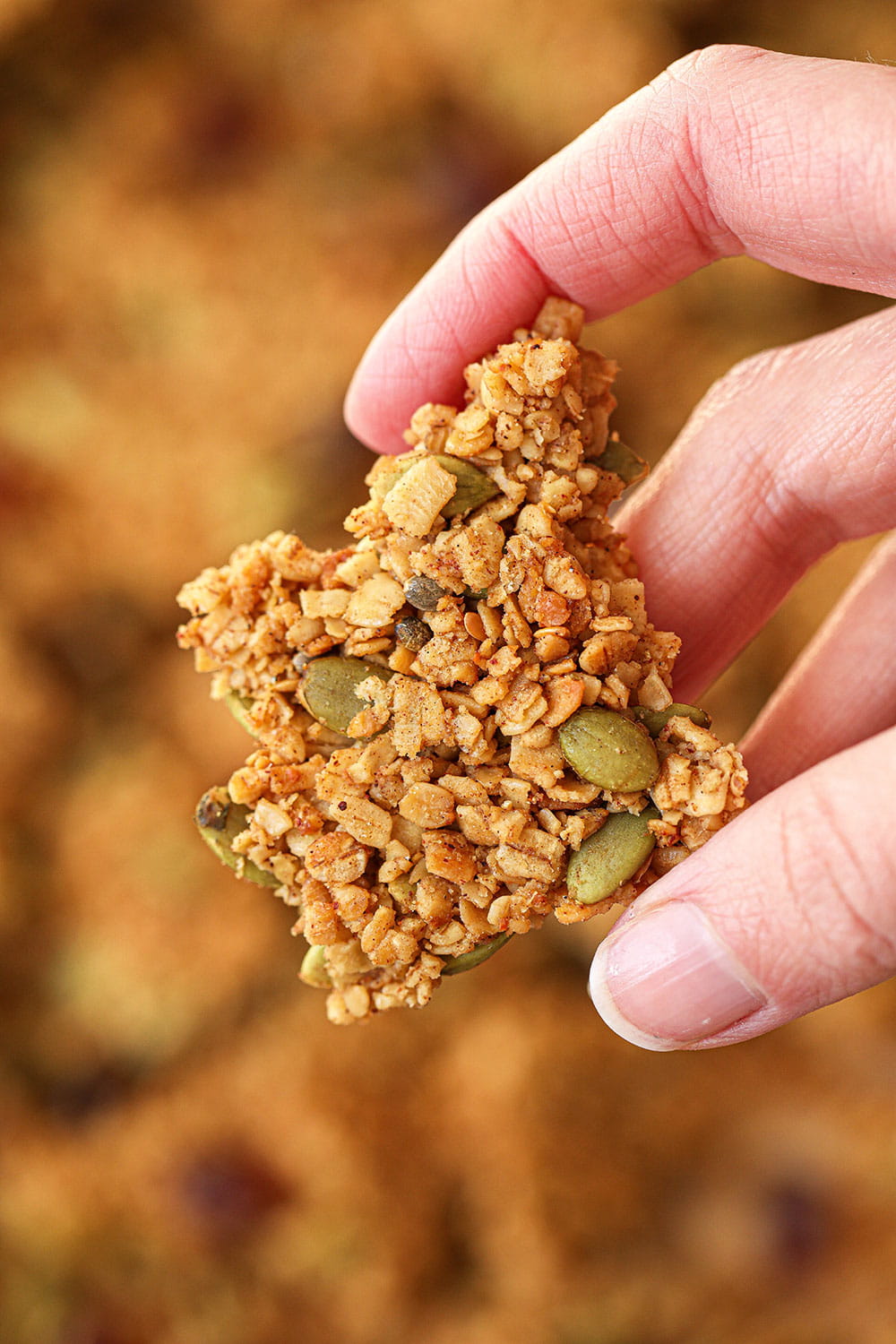 Nut Free Granola
