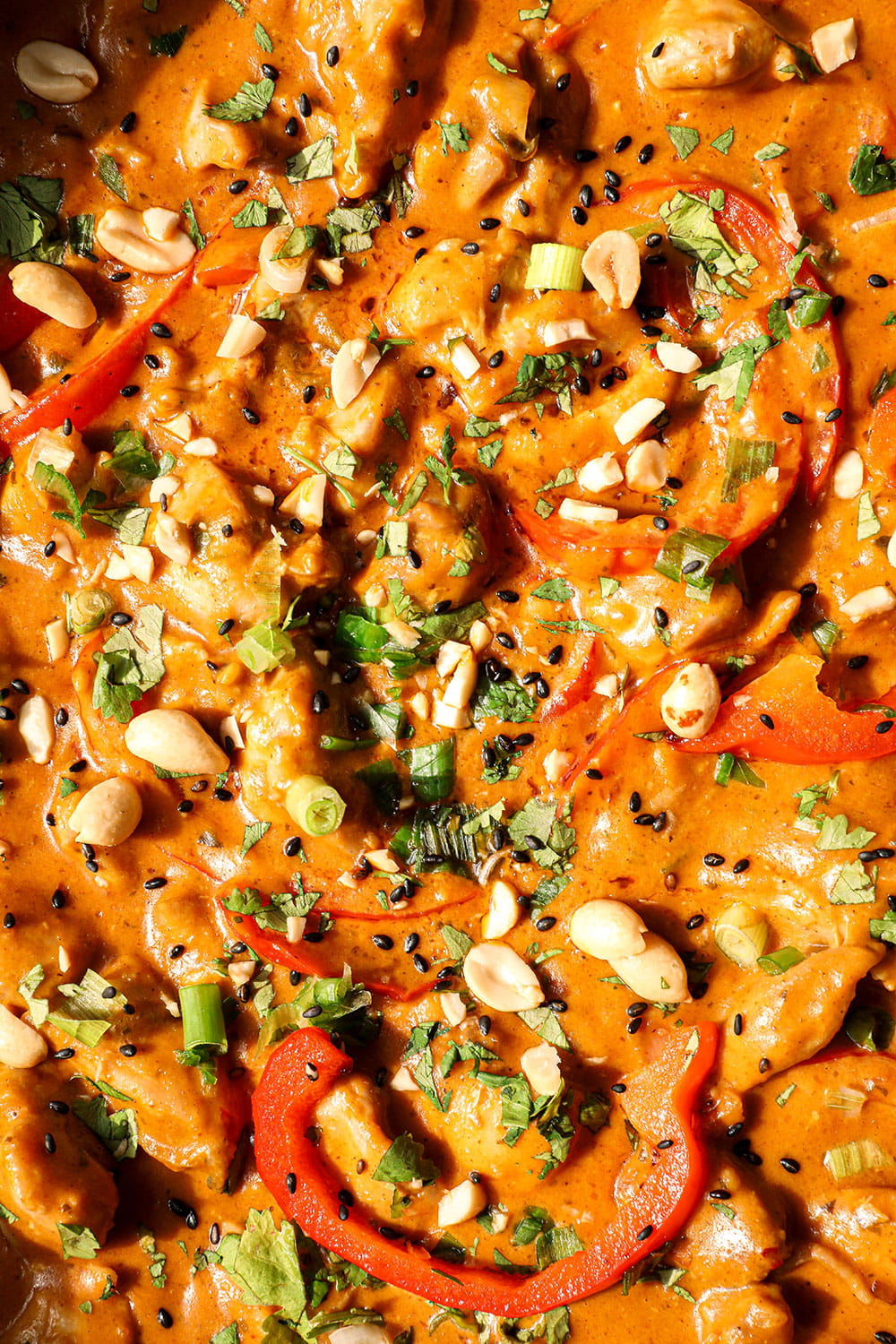 Chicken Satay Curry Recipe​