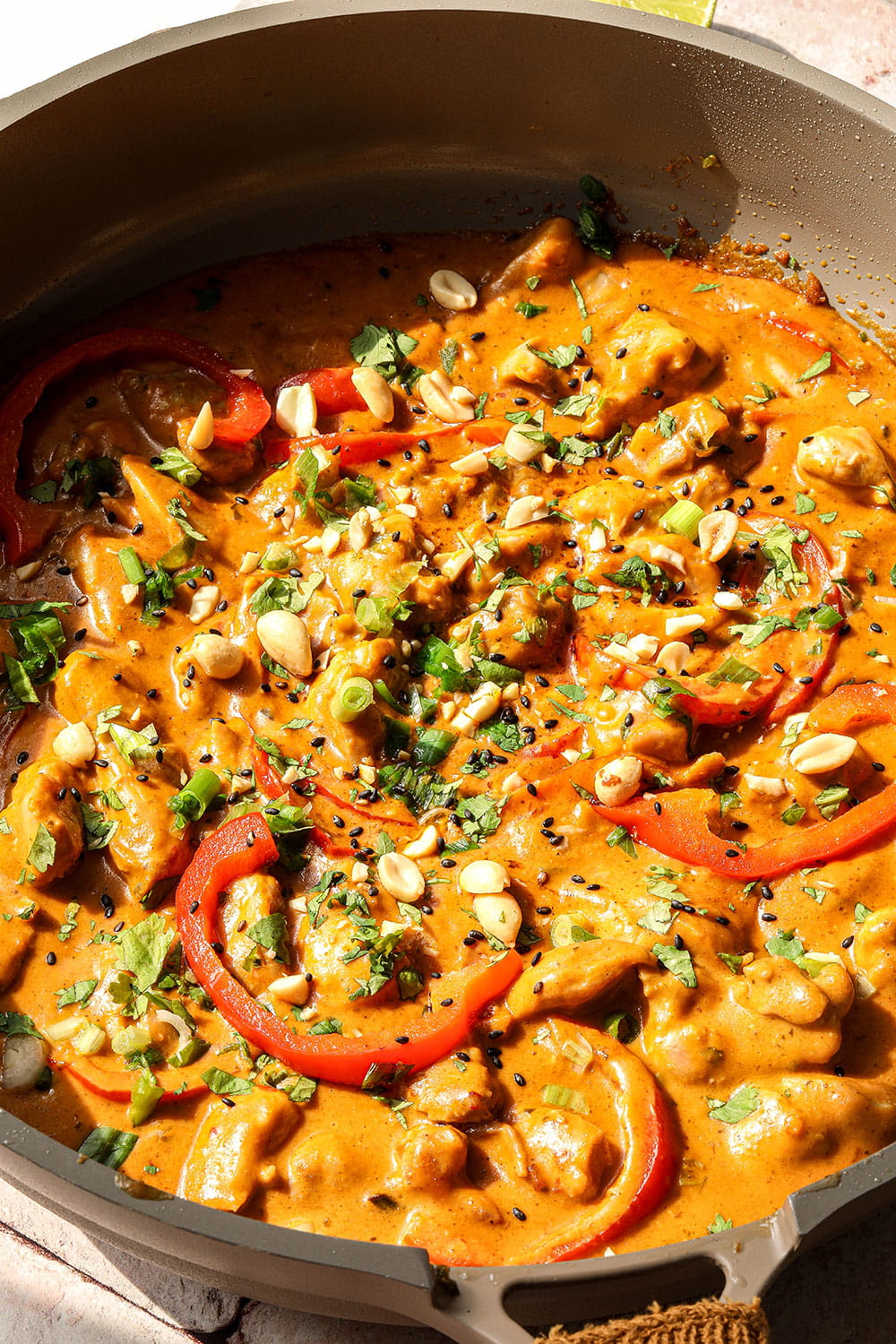 Chicken Satay Curry Recipe​